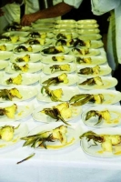 The kitchen was busy in the mean time